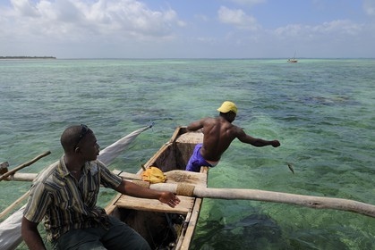 Tanzanie, archipel de Zanzibar, île de Unguja (Zanzibar), côte est, baie de Chwaka vers Michamvi, pêche à la ligne sur un dhow (boutre traditionnel)