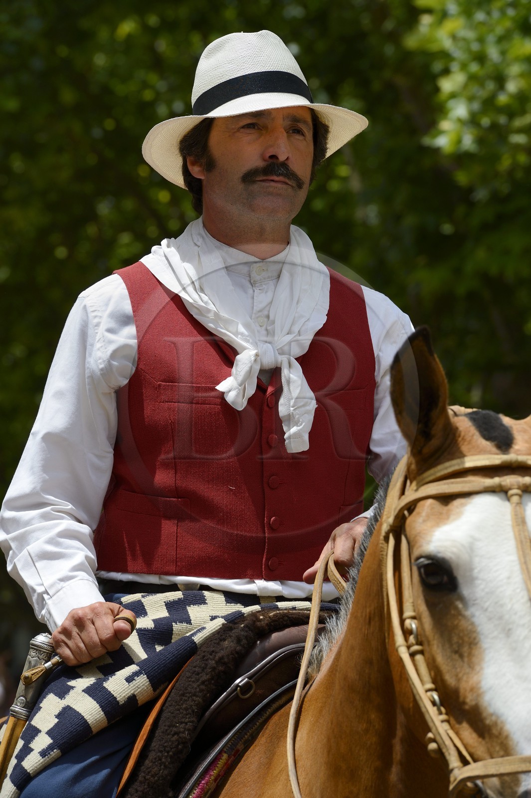 Argentine, province de Buenos Aires, San Antonio de Areco, fête du Jour de la Tradition (Dia de la Tradicion), gaucho à cheval défilant en habit traditionnel