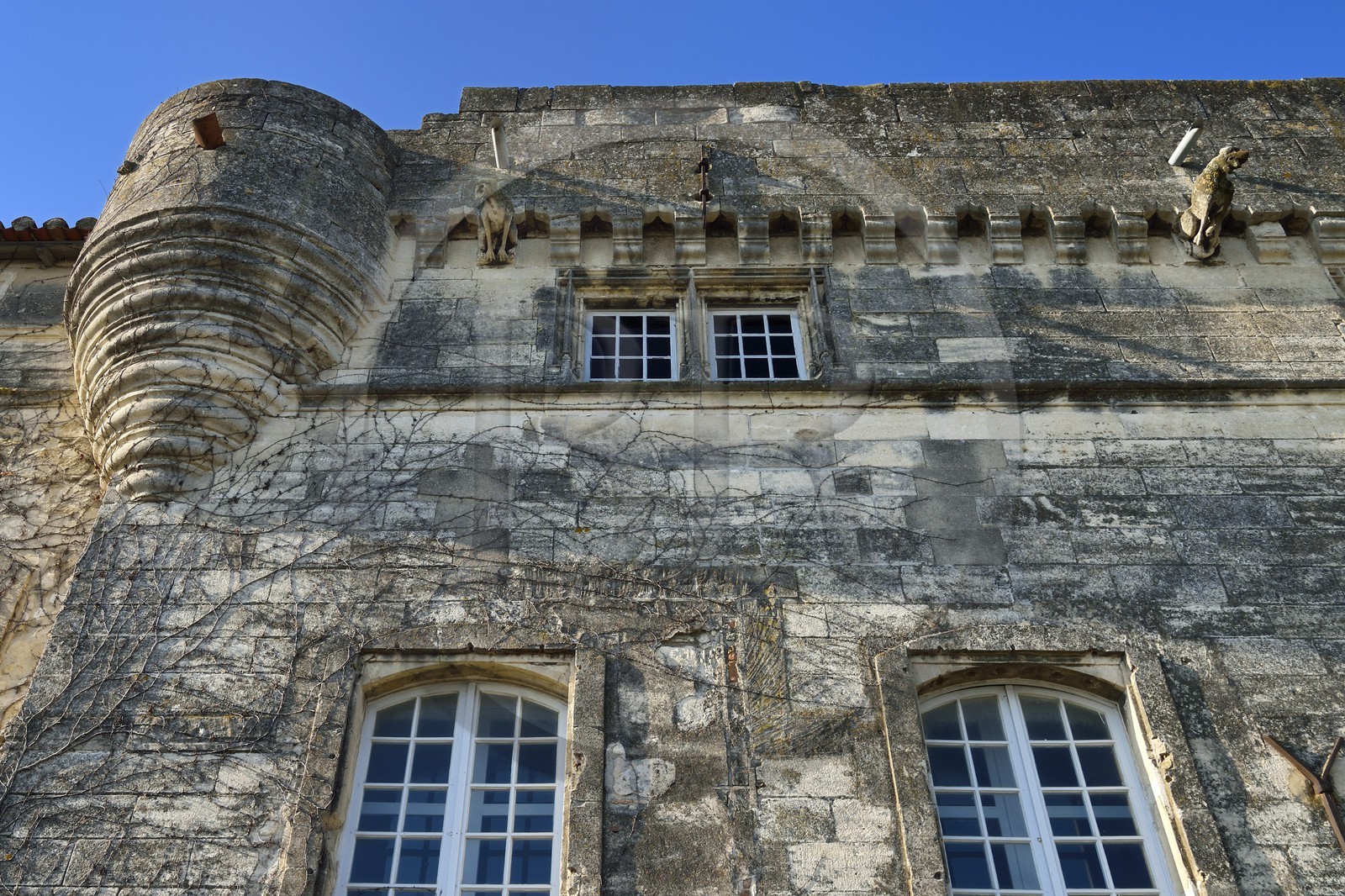 France, Bouches-du-Rhône (13), Arles, Musée Réattu (Mention Obligatoire)