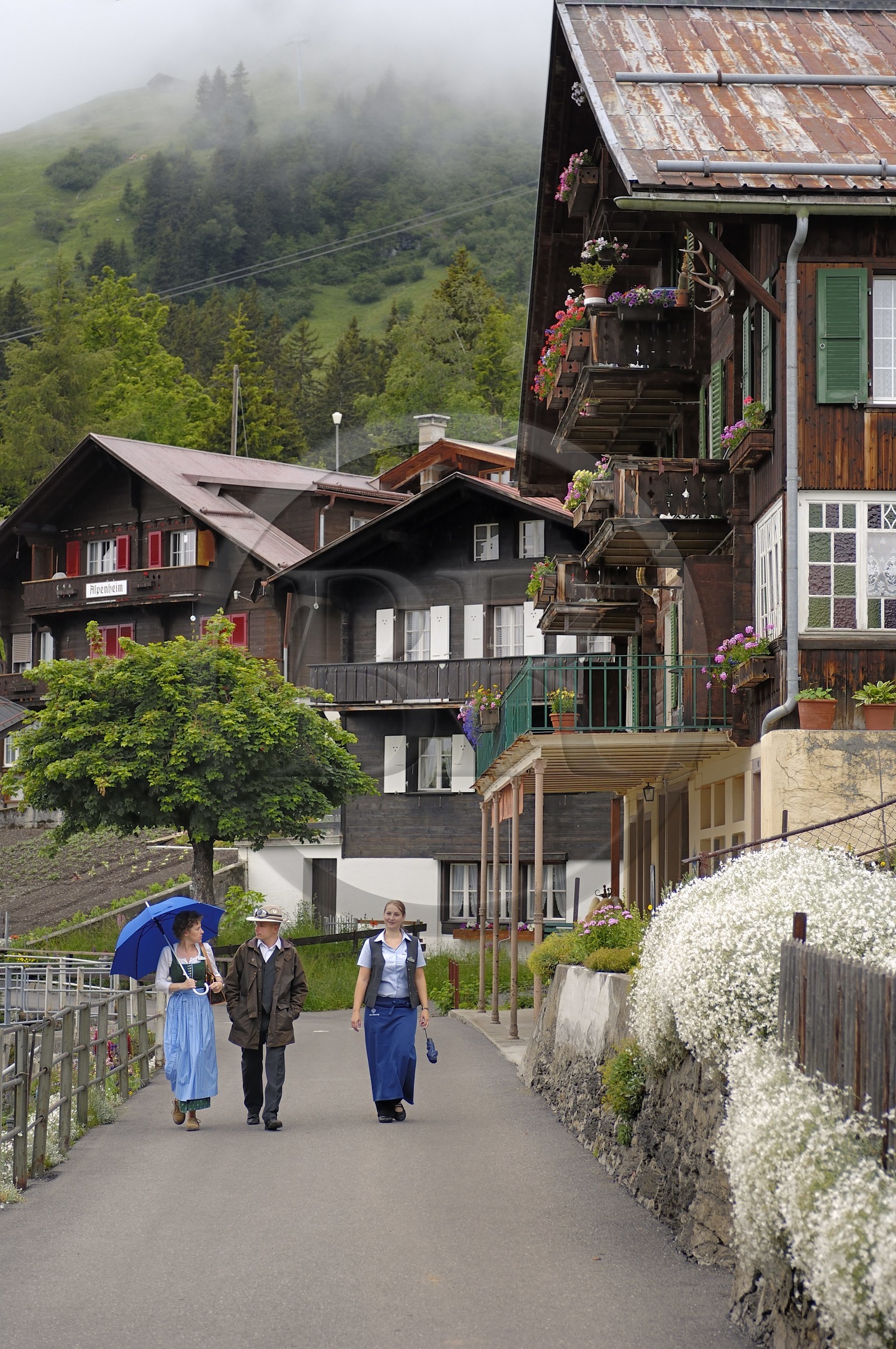 Suisse, Canton de Berne, Oberland Bernois, village de Mürren