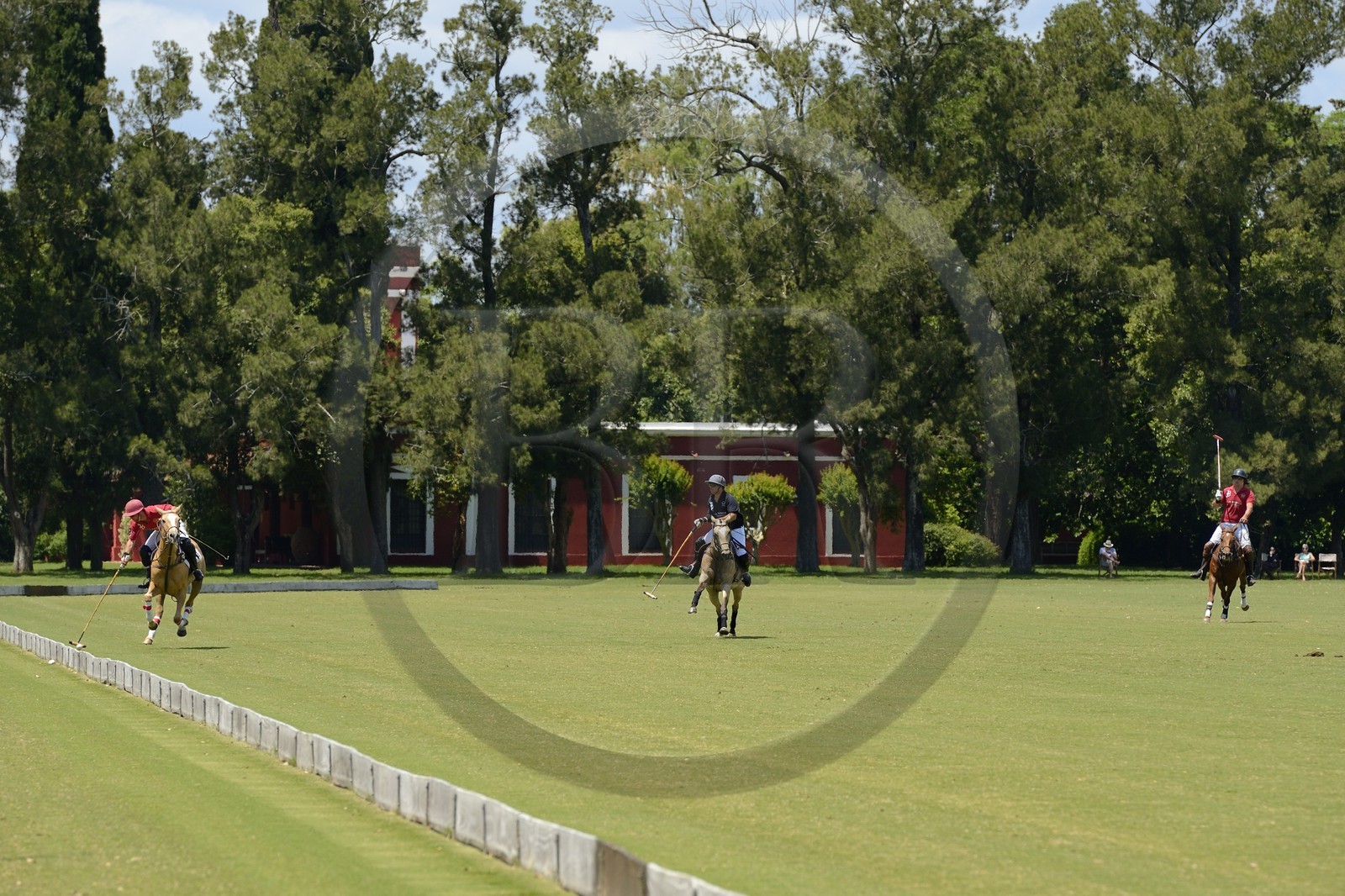 Argentine, province de Buenos Aires, San Antonio de Areco, estancia La Bamba de Areco, match de polo