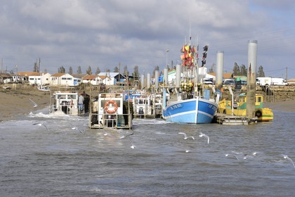 France, Charente-Maritime (17), Ile d'Oléron, le chenal d'Ors, port ostréicole