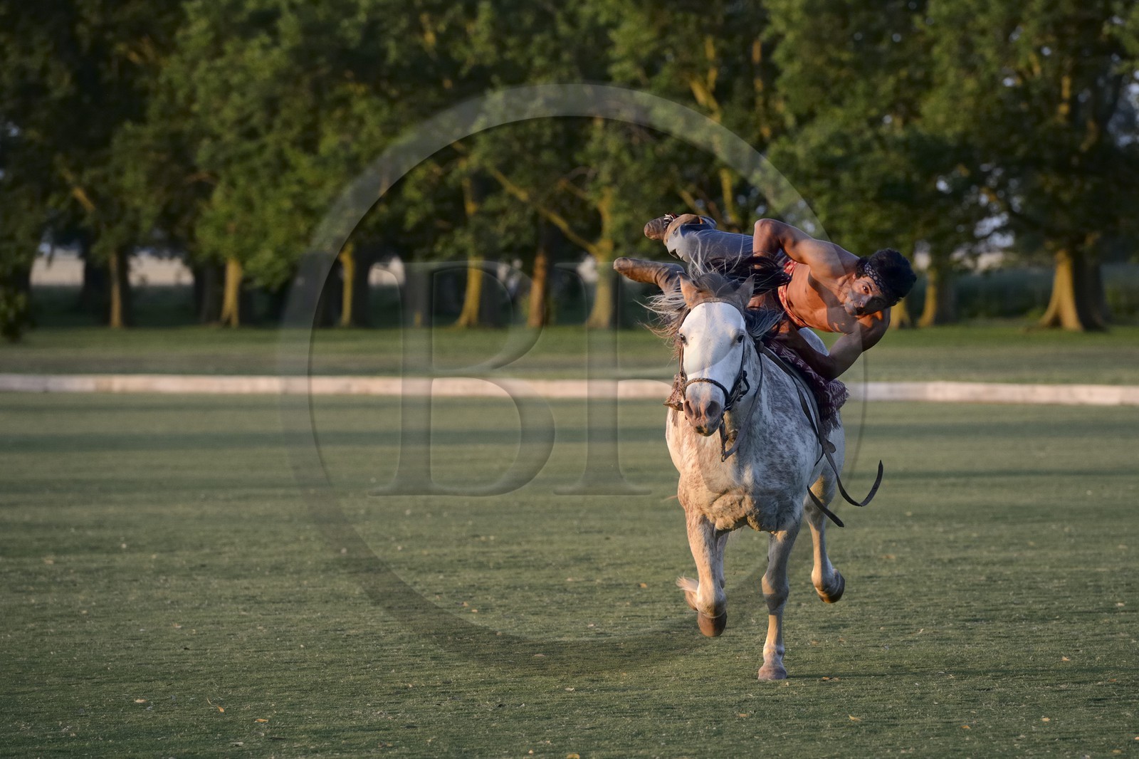 Argentine, province de Buenos Aires, San Antonio de Areco, estancia La Bamba de Areco, demonstration du savoir-faire d'un cavalier amerindien avec son cheval