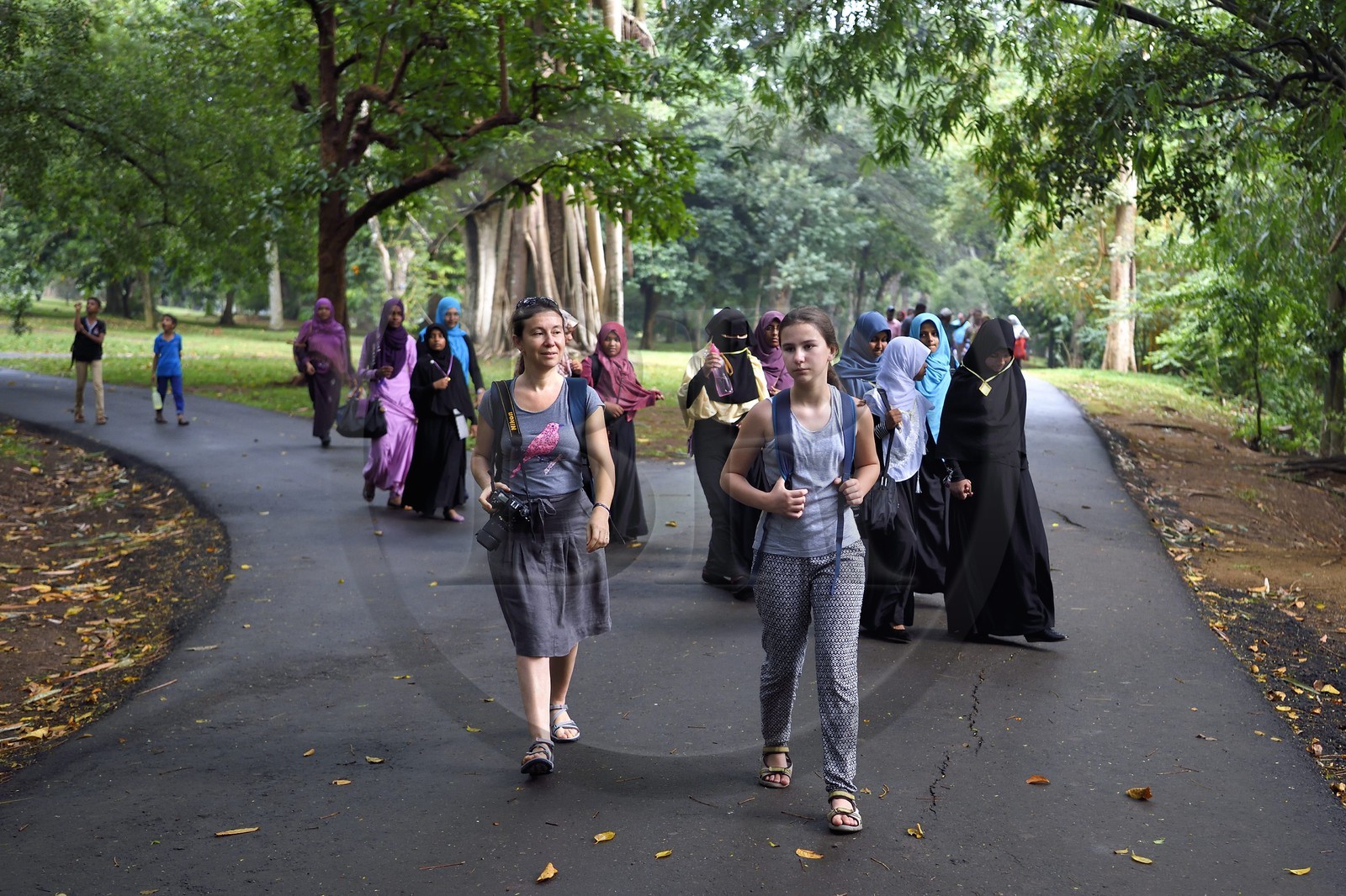 Sri Lanka, province du centre, Kandy, jardin botanique de Peradeniya, sortie scolaire de jeunes filles musulmanes et touristes