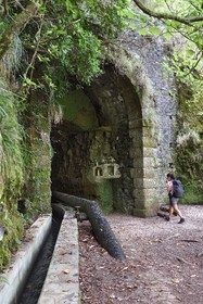 Portugal, Madeira Island, hike in the forest of Rabaçal, connection tunnel to the Calheta valley via the Levada da Rocha Vermelha