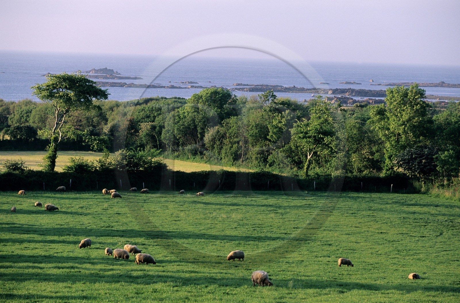 France, Manche (50), Cotentin, région du Cap de la Hague