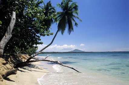 Dominican Republic, Samana peninsula, the desert and wild El Limon beach near Miches