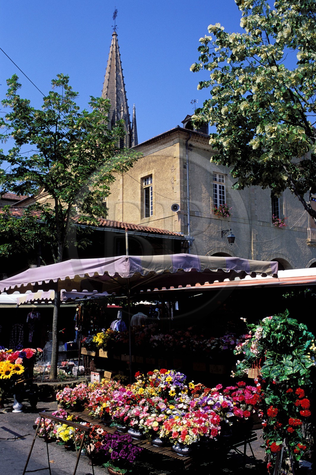 France, Hautes-Pyrénées (65), étal de fleurs sur le marché