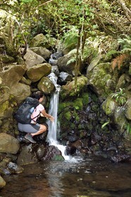 Portugal, Madeira Island, hike in the forest of Rabaçal by the levada do Alecrim, one of the many streams that feed the levada and the small Dona Beja cascade