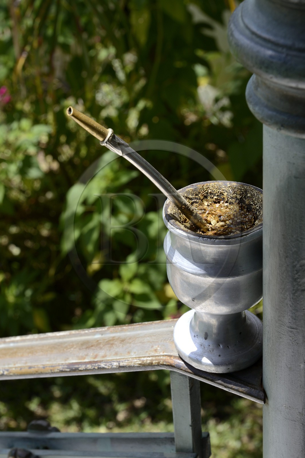 Argentine, province de Buenos Aires, San Antonio de Areco, un maté