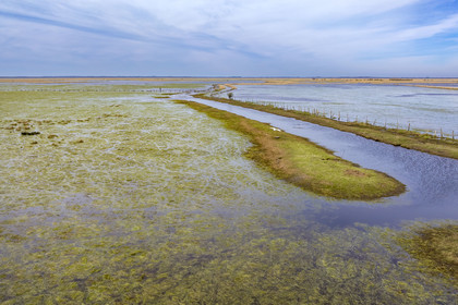 France, Loire-Atlantique (44), parc naturel regional de la Brière, Saint-Malo-de-Guersac, les marais de Brière  (vue aérienne)