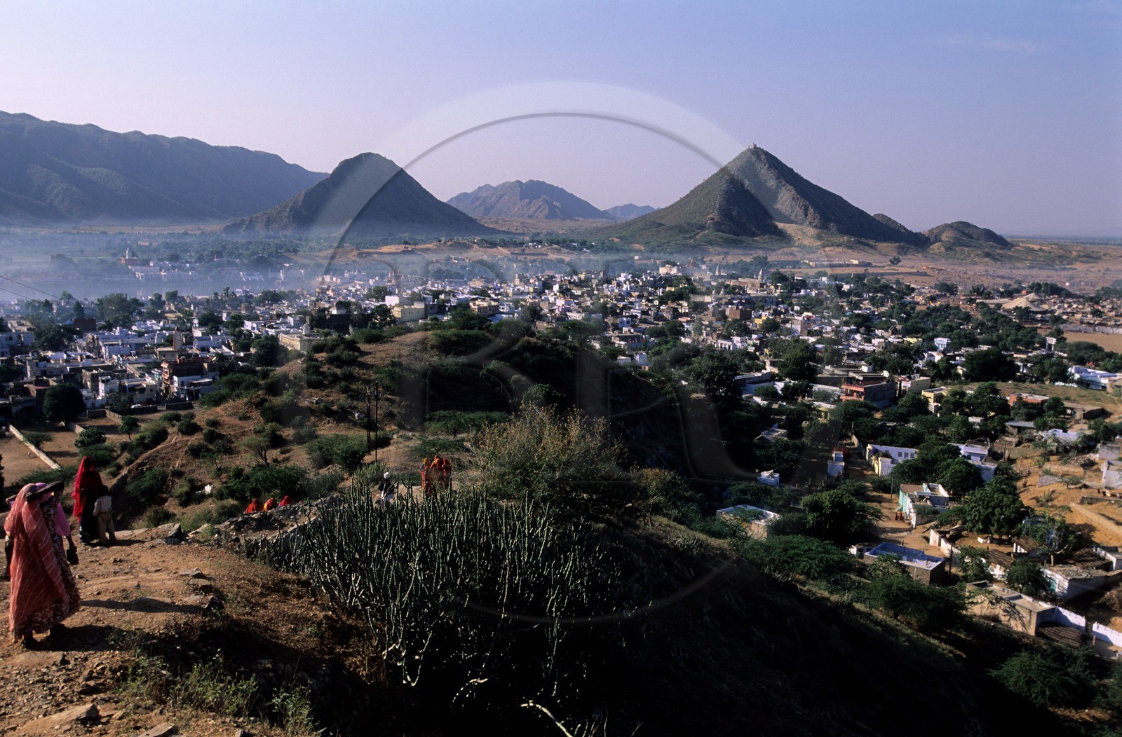 Inde, état du Rajasthan, ville de Pushkar, la plaine où se déroule la célèbre foire aux chameaux