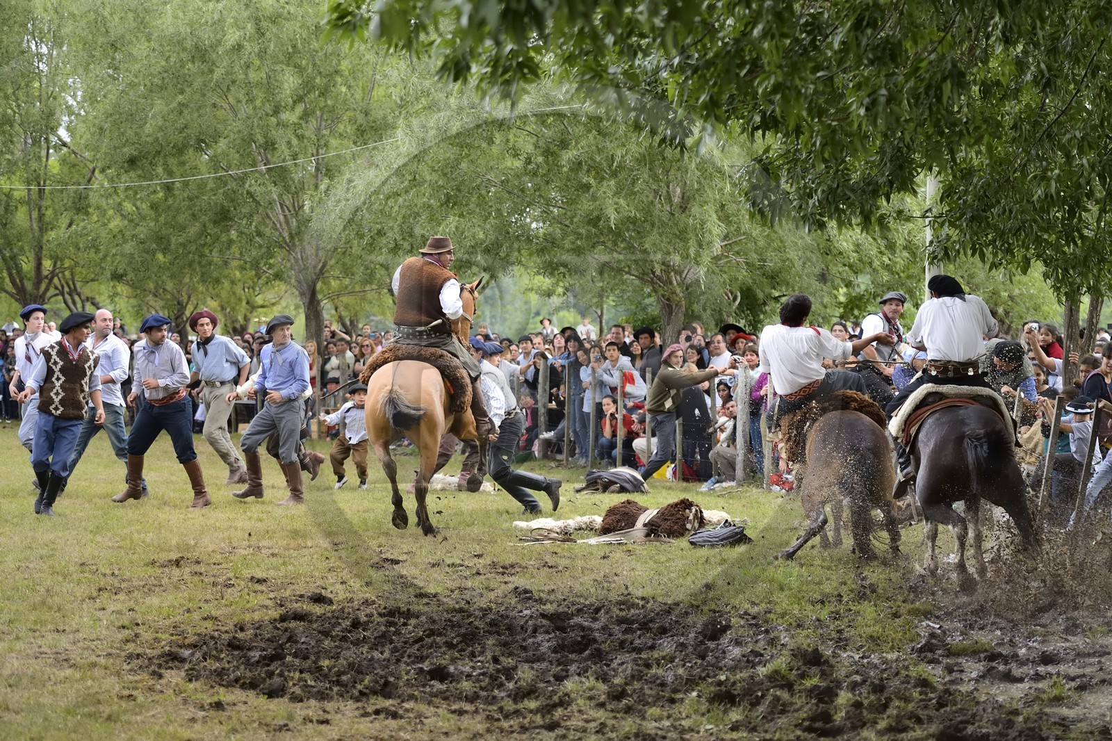 Argentine, province de Buenos Aires, San Antonio de Areco, fête du Jour de la Tradition (Dia de la Tradicion), les gauchos prouvent leur habilité à cheval lors d'un rodéo appelé Jineteada gaucha