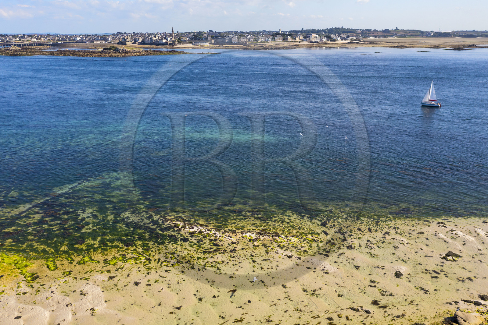France, Finistère (29), Iles du Ponant, Ile de Batz, le chenal entre la Pointe de Penn-Batz et Roscoff en arrière plan (vue aérienne)