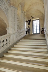 France, Loir et Cher, Chateau de Cheverny, main staircase beloved by Herge