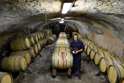 France, Meurthe-et-Moselle, Bruley, Côtes de Toul wine barrels in the cellars of domaine Laroppe, Vincent Laroppe