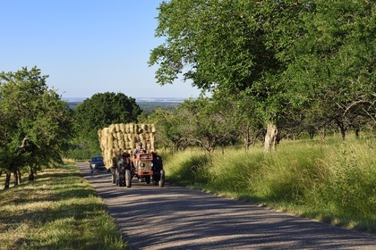 France, Meuse, Lorraine Regional Park, Cotes de Meuse, Vigneulles les Hattonchatel, tractor bringing hay