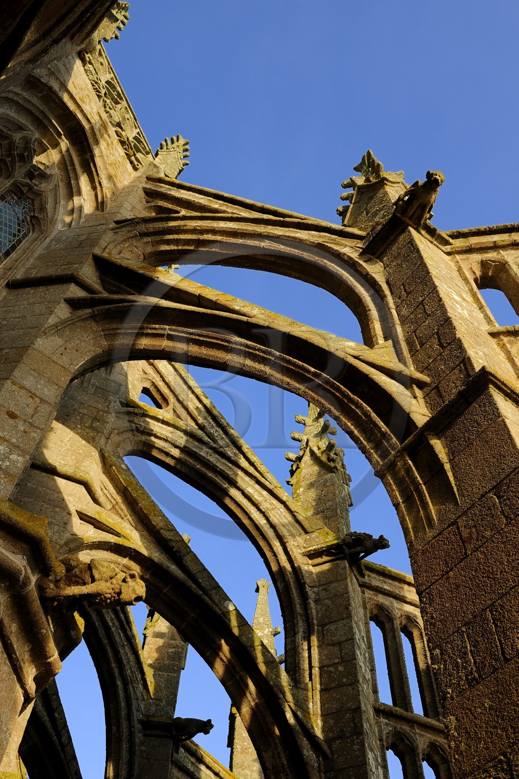 France, Manche, the abbey of Mont Saint Michel, listed as World Heritage by UNESCO, the gargoyles of the church on the Flying buttress