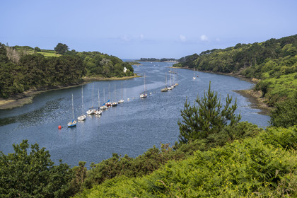 France, Finistère (29), Pays des Abers, Aber Wrac'h, Plouguerneau, mouillage de voiliers près de la cale de Paluden