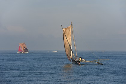 Sri Lanka, Western Province, Negombo, traditional fishing on catamarans