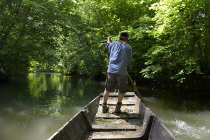 France, Bas Rhin, Ebersmunster and Muttersholtz region, the Ried, the boatman Patrick Unterstock in a small flat wooden bottom boat on the Ill river