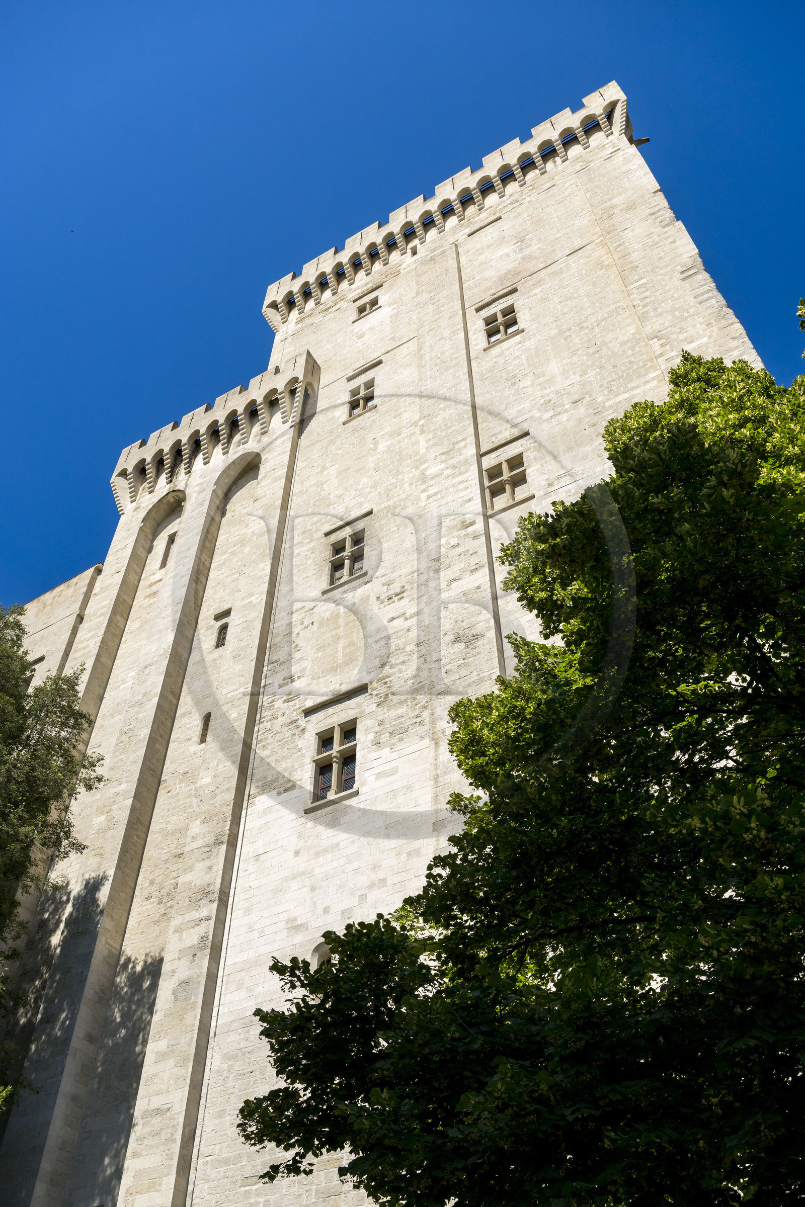 France, Vaucluse (84), Avignon, Palais des Papes classé Patrimoine mondial de l'UNESCO, la tour de Trouillas à droite et la tour des Latrines ou de la Glacière sur la facade Est