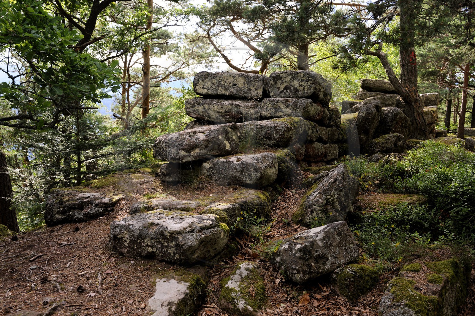 France, Bas-Rhin (67), le Mont Saint-Odile, le mur païen