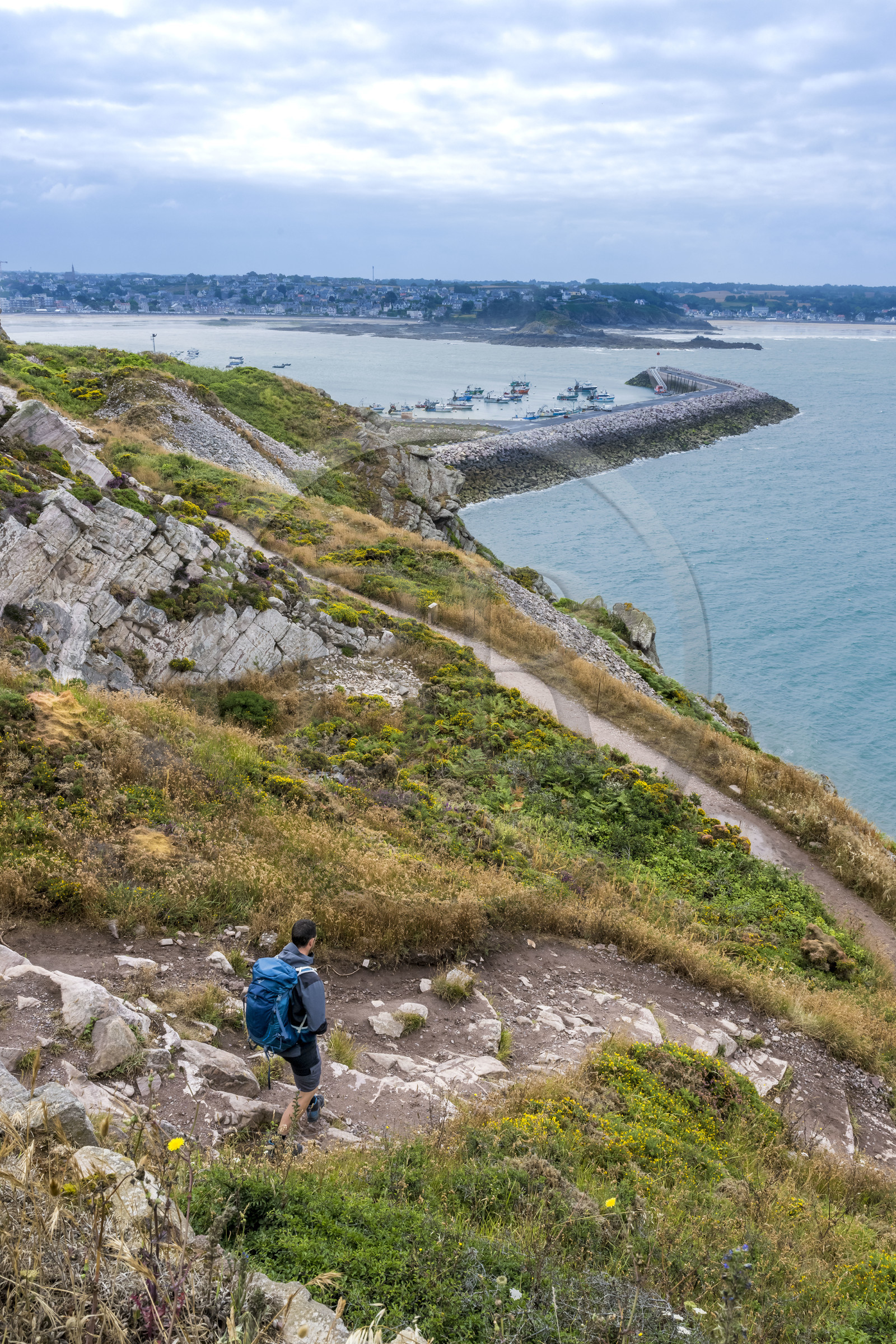 France, Côtes d'Armor (22), Côte de Penthièvre, Erquy, le port en arrière plan