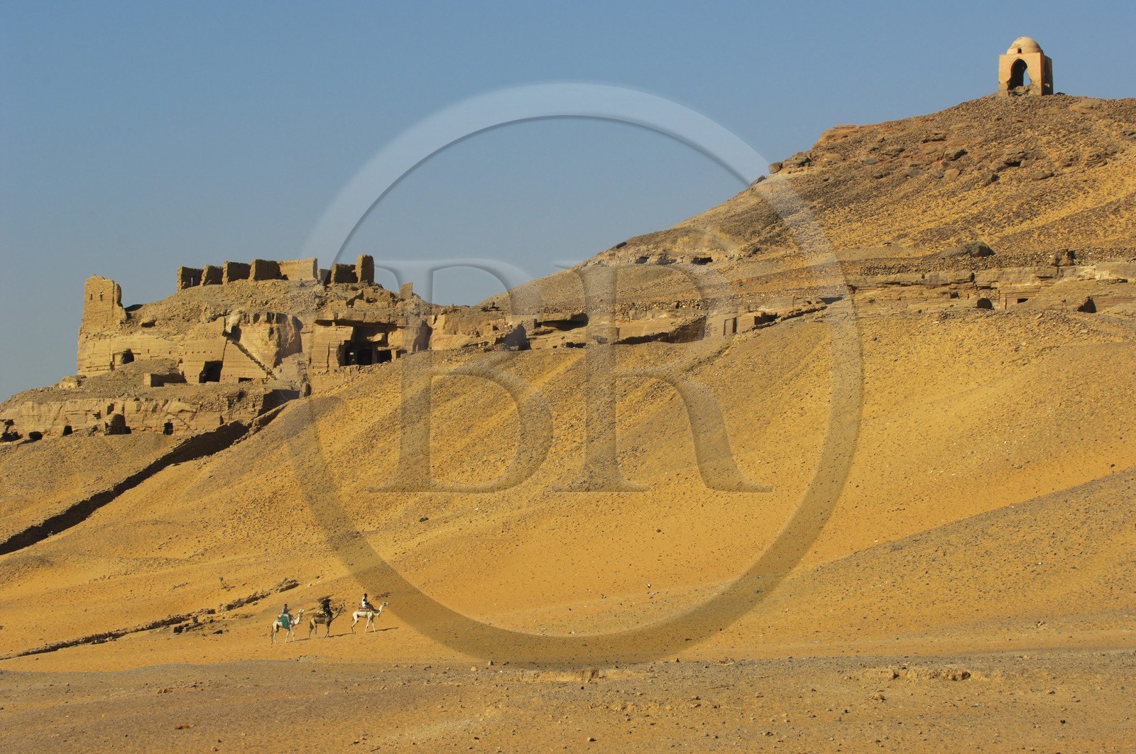 Egypte, Haute Egypte, Nubie, vallée du Nil, Assouan, les tombes des Nobles sur la rive ouest et cavaliers chevauchant leurs dromadaires