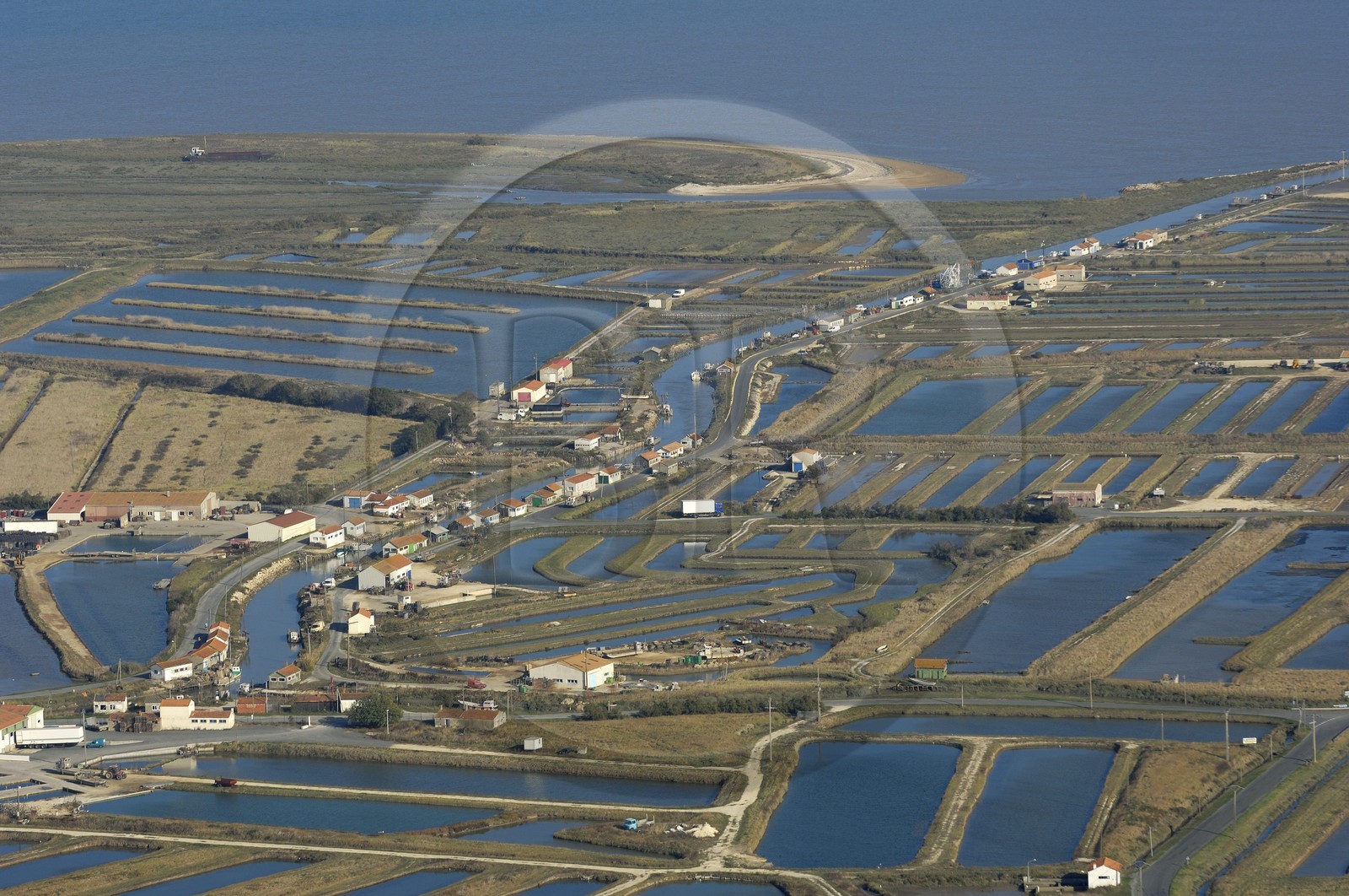 France, Charente-Maritime (17), Ile d'Oléron, côte est au nord de Château-d'Oléron, entre marais et parcs à huitres (vue aérienne)