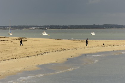 France, Charente-Maritime (17), Ile d'Oléron, pointe de Maumusson