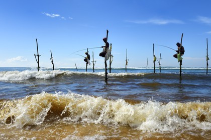 Sri Lanka, Southern Province, Galle district, Midigama beach, Pole Fishermen or Stilt Fishermen ply their trade along the Galle coastline