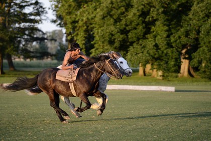 Argentine, province de Buenos Aires, San Antonio de Areco, estancia La Bamba de Areco, demonstration du savoir-faire d'un cavalier amerindien avec son cheval