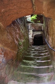 France, Bas Rhin, Northern Vosges Regional Natural Park, Niedersteinbach, Steinbach national forest, Wasigenstein Castle ruins, access stairs dug into the rock