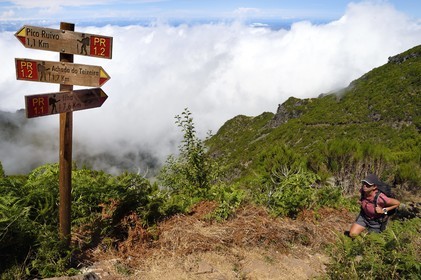 Portugal, Madeira Island, Vereda do Areeiro hike between Pico Ruivo (1862m) and Pico Arieiro (1817m), the path that climbs from Achada do Teixeira