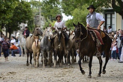 Argentine, province de Buenos Aires, San Antonio de Areco, fête du Jour de la Tradition (Dia de la Tradicion), gauchos présentant leur troupeau de chevaux