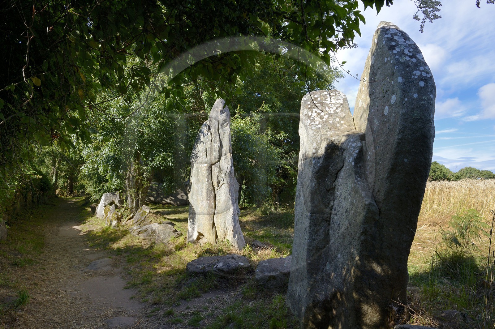 France, Morbihan (56), Erdeven, menhir de Kerzérho