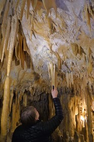 France, Dordogne (24), Périgord Vert, Villars, Grotte de Villars, dessin paléolithique au dioxyde de manganèse d'un cheval datant d' environ 17000 ans (Magdalénien)
