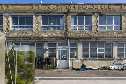 France, Finistère (29), Roscoff, station biologique du CNRS et Sorbonne université
