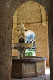 France, Var, the Thoronet cistercian abbey, the cloister fountain