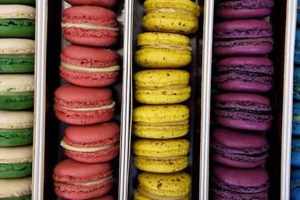 France, Var (83), Hyères, Chocolaterie patisserie Dominique, macarons