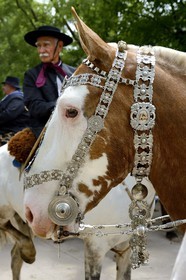 Argentina, Buenos Aires Province, San Antonio de Areco, Tradition Day festival (Dia de Tradicion), silversmith work on a silver harness used for special occasions by an estanciero (gaucho who owns a ranch)