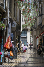 France, Vaucluse, Avignon, the pedestrian rue des Fourbisseurs