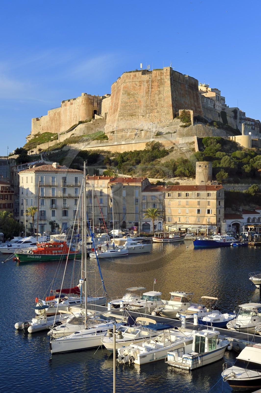 France, Corse-du-Sud (2A), Bonifacio, le port dominé par la citadelle dans la ville haute