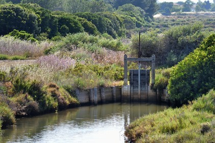 France, Var (83), Hyères, Conservatoire du littoral, les Vieux Salins (marais salants)