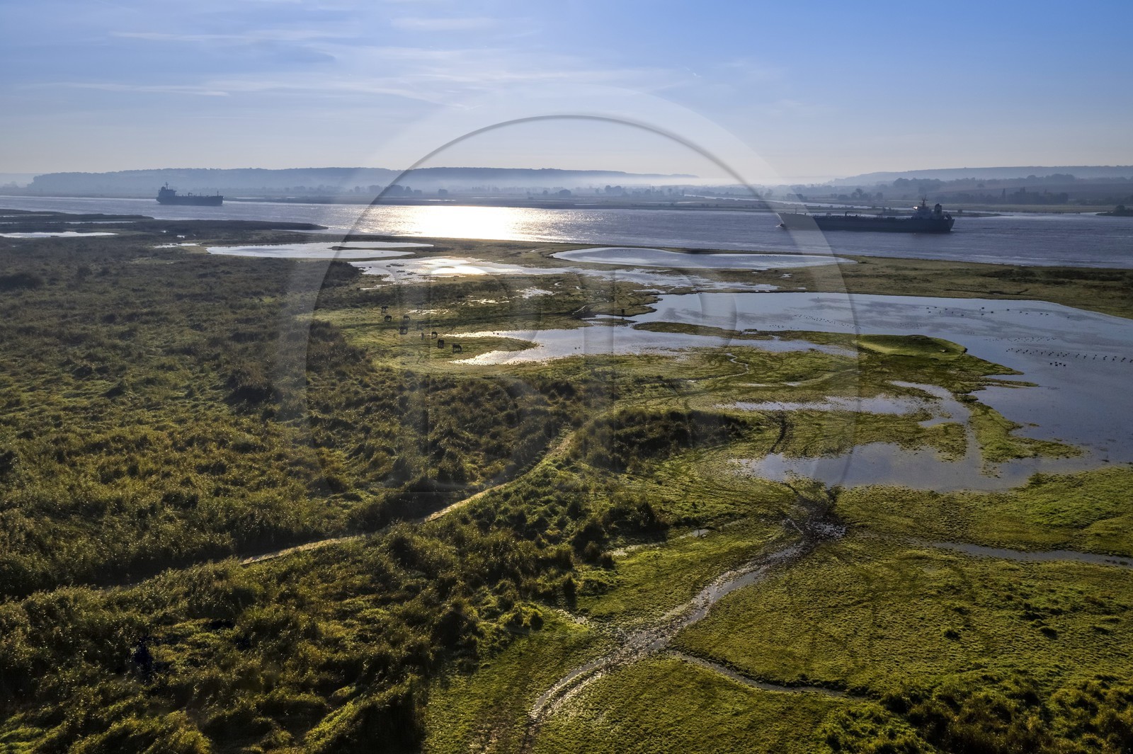 France, Seine-Maritime (76), Réserve Naturelle de l'estuaire de la Seine, cargos sur la Seine (vue aérienne)