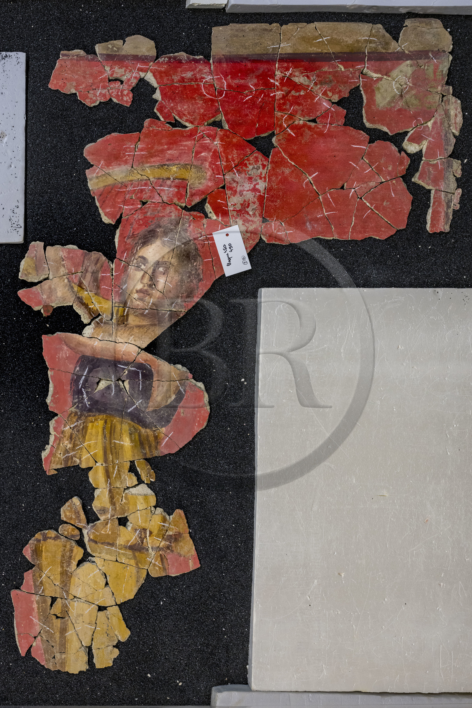 France, Bouches-du-Rhône (13), Arles, musée départemental Arles antique, dans les réserves du musée, issu des fouilles des ruines de la maison de la harpiste (entre 70 et 50 av. J.-C.) dans le site de l'ancienne verrerie de Trinquetaille sur la rive droite du Rhone, assemblage de fragments de la peinture murale à fresque adoptant du rouge vermillon avec le pigment le Cinabre le plus couteux du monde romain, la figure d’une harpiste qui a donnée son nom à la villa