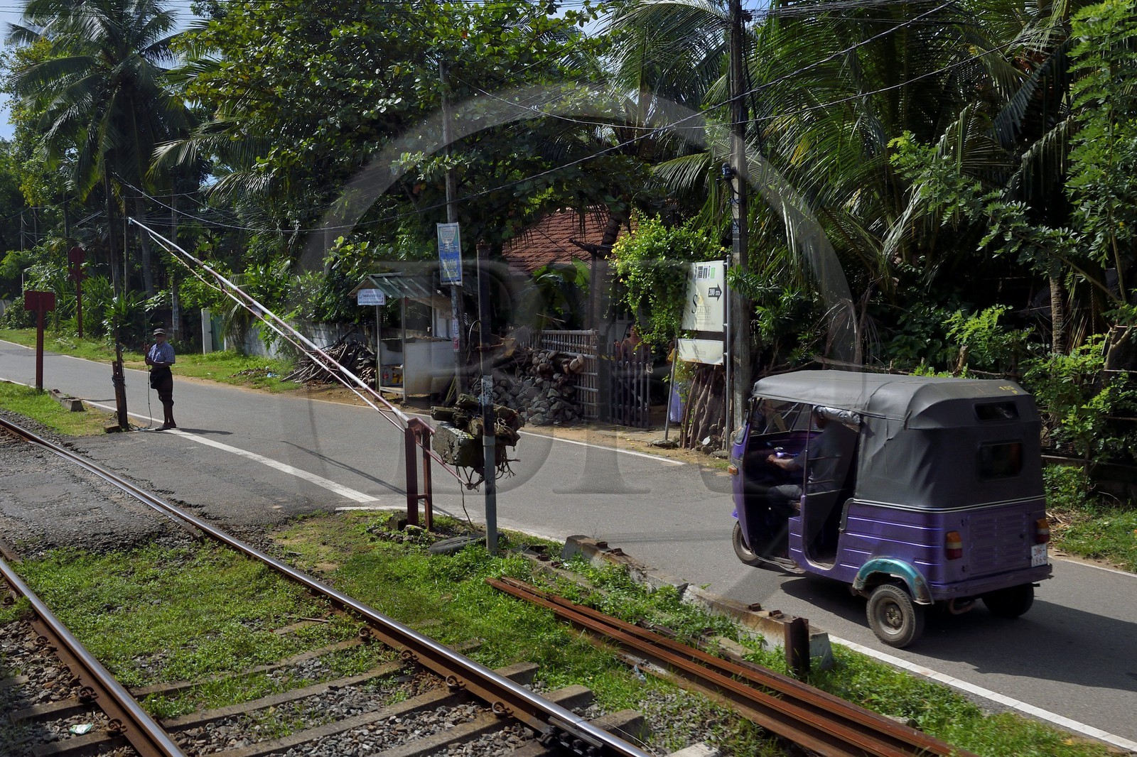 Sri Lanka, Province de l'Ouest, train de Colombo à Galle, passage à niveau manuel vers Panadura