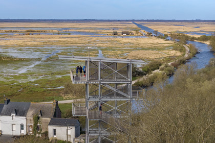 France, Loire-Atlantique (44), parc naturel regional de la Brière, Saint-Malo-de-Guersac, le Belvédère de Rozé (vue aérienne)