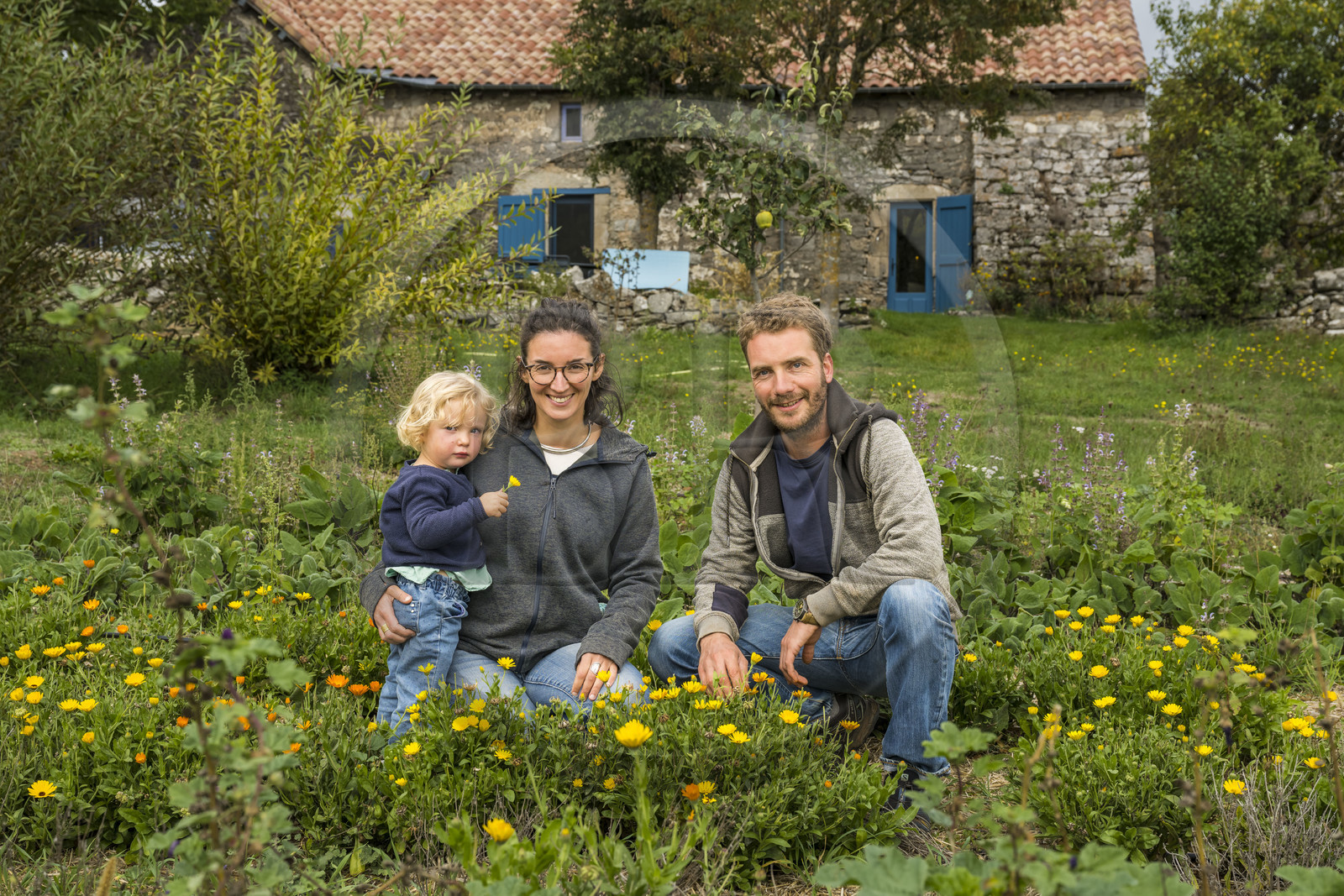 France, Aveyron (12), Nant, Marion Renoud-Lias et Romain Debord, agriculteurs nouvelle génération du Larzac, à la Ferme aromatique des Homs, au premier plan la fleur soucis utilisée dans les tisanes